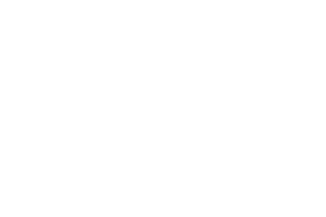 Airbus logo white